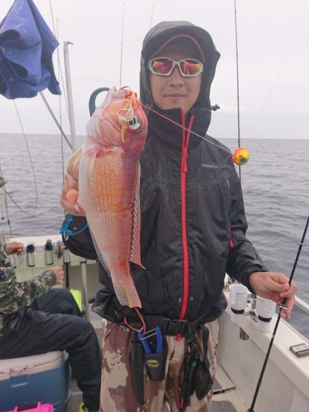 ARCADIAⅡ (アルカディアⅡ) 釣果