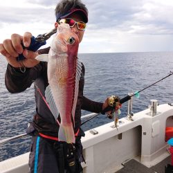 ARCADIAⅡ (アルカディアⅡ) 釣果