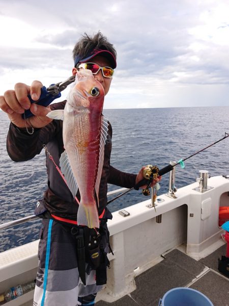 ARCADIAⅡ (アルカディアⅡ) 釣果