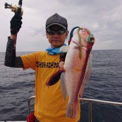 ARCADIAⅡ (アルカディアⅡ) 釣果