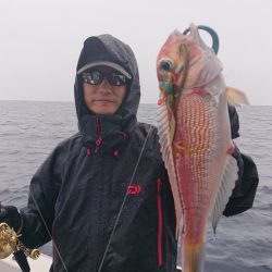 ARCADIAⅡ (アルカディアⅡ) 釣果