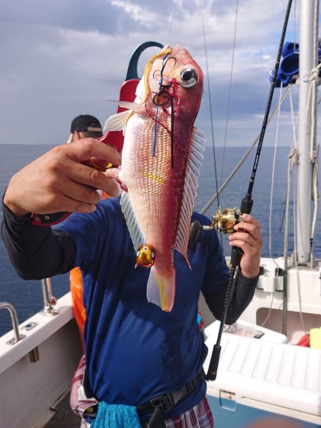 ARCADIAⅡ (アルカディアⅡ) 釣果