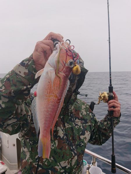 ARCADIAⅡ (アルカディアⅡ) 釣果