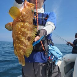 ソルトウォーターガイドフレンズ 釣果