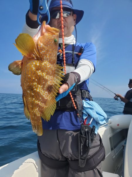 ソルトウォーターガイドフレンズ 釣果