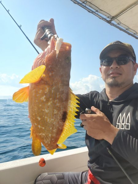 ソルトウォーターガイドフレンズ 釣果