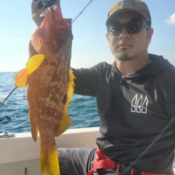 ソルトウォーターガイドフレンズ 釣果