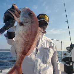 ソルトウォーターガイドフレンズ 釣果