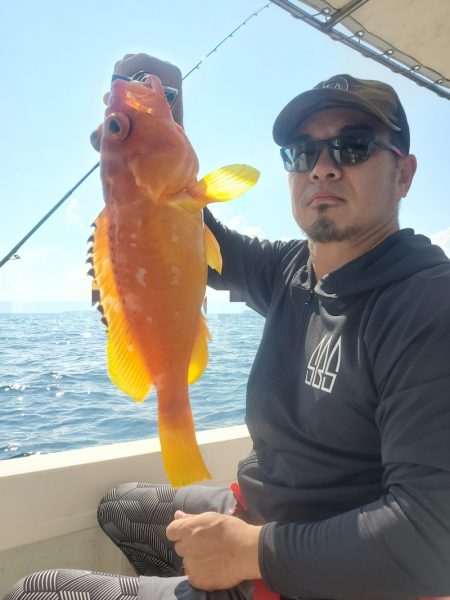 ソルトウォーターガイドフレンズ 釣果