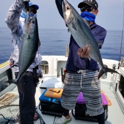 アマテラス 釣果