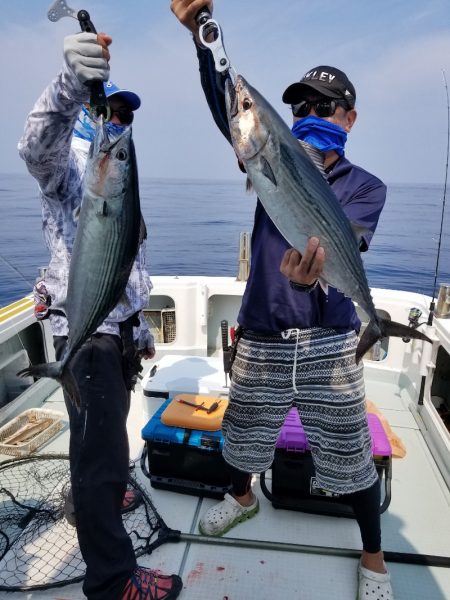 アマテラス 釣果