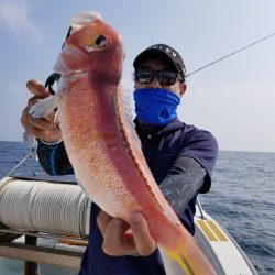 アマテラス 釣果