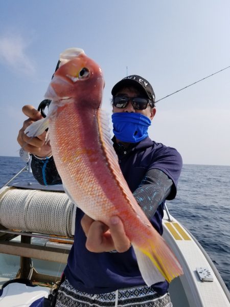 アマテラス 釣果