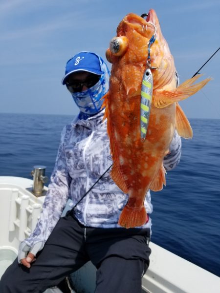 アマテラス 釣果