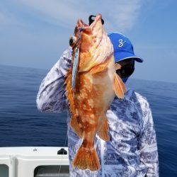 アマテラス 釣果