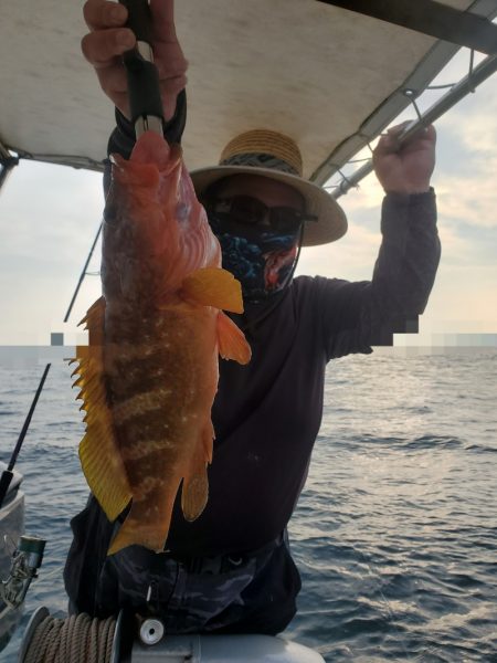 ソルトウォーターガイドフレンズ 釣果