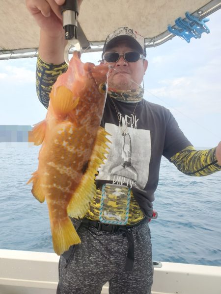 ソルトウォーターガイドフレンズ 釣果