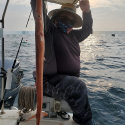 ソルトウォーターガイドフレンズ 釣果