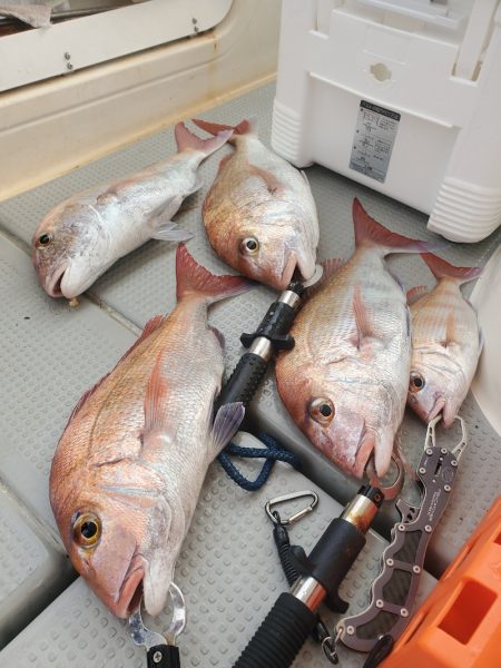 ソルトウォーターガイドフレンズ 釣果