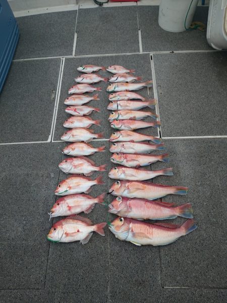 ARCADIAⅡ （アルカディアⅡ） 釣果