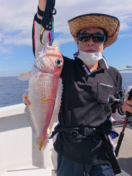 ARCADIAⅡ (アルカディアⅡ) 釣果