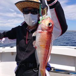 ARCADIAⅡ (アルカディアⅡ) 釣果