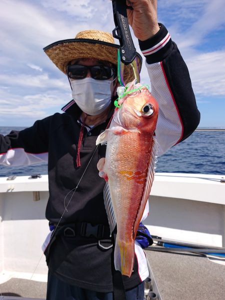 ARCADIAⅡ (アルカディアⅡ) 釣果