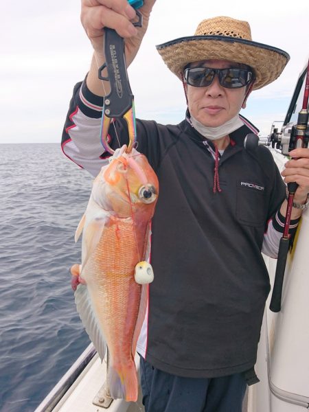 ARCADIAⅡ (アルカディアⅡ) 釣果