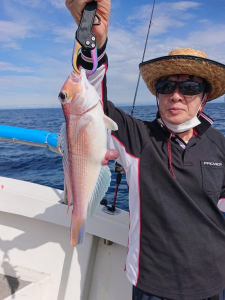 ARCADIAⅡ (アルカディアⅡ) 釣果