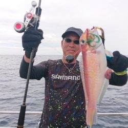 ARCADIAⅡ (アルカディアⅡ) 釣果