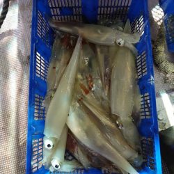 海龍丸（石川） 釣果