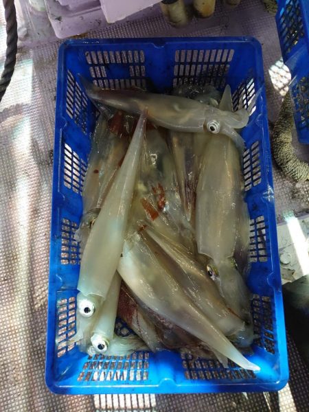 海龍丸（石川） 釣果