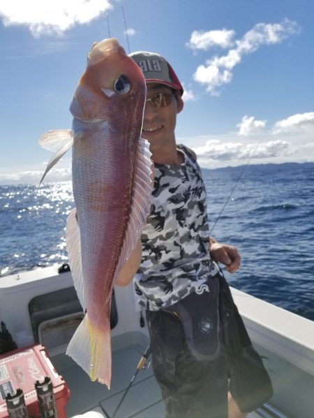 アマテラス 釣果