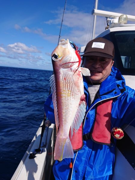 ARCADIAⅡ (アルカディアⅡ) 釣果