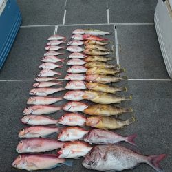 ARCADIAⅡ (アルカディアⅡ) 釣果