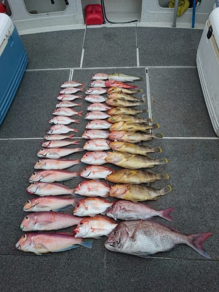 ARCADIAⅡ （アルカディアⅡ） 釣果…