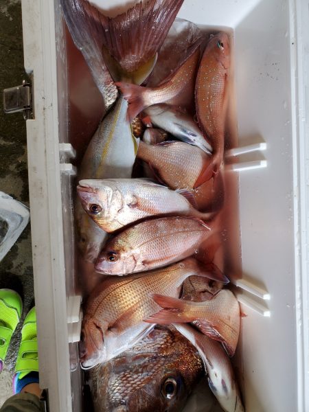 新幸丸 釣果