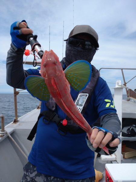 ありもと丸 釣果