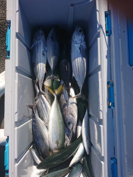 清和丸 釣果