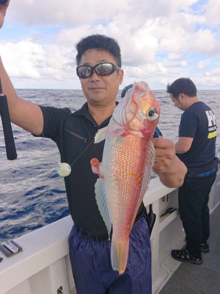 ARCADIAⅡ (アルカディアⅡ) 釣果