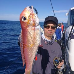 ARCADIAⅡ (アルカディアⅡ) 釣果