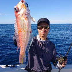 ARCADIAⅡ (アルカディアⅡ) 釣果