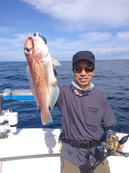 ARCADIAⅡ (アルカディアⅡ) 釣果