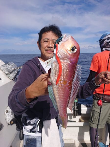 ARCADIAⅡ (アルカディアⅡ) 釣果