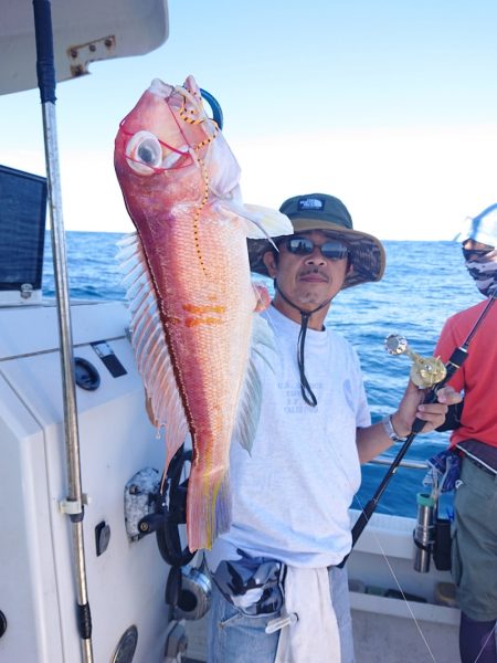 ARCADIAⅡ (アルカディアⅡ) 釣果