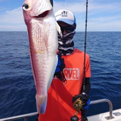 ARCADIAⅡ (アルカディアⅡ) 釣果