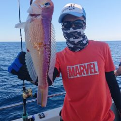 ARCADIAⅡ (アルカディアⅡ) 釣果