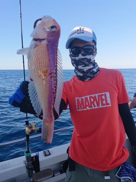 ARCADIAⅡ (アルカディアⅡ) 釣果