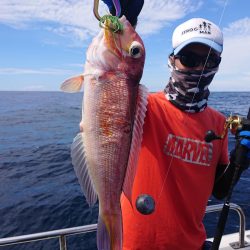 ARCADIAⅡ (アルカディアⅡ) 釣果