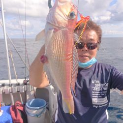 ARCADIAⅡ (アルカディアⅡ) 釣果